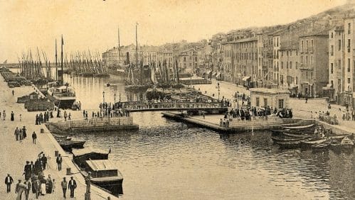 Activité transitaire sete
